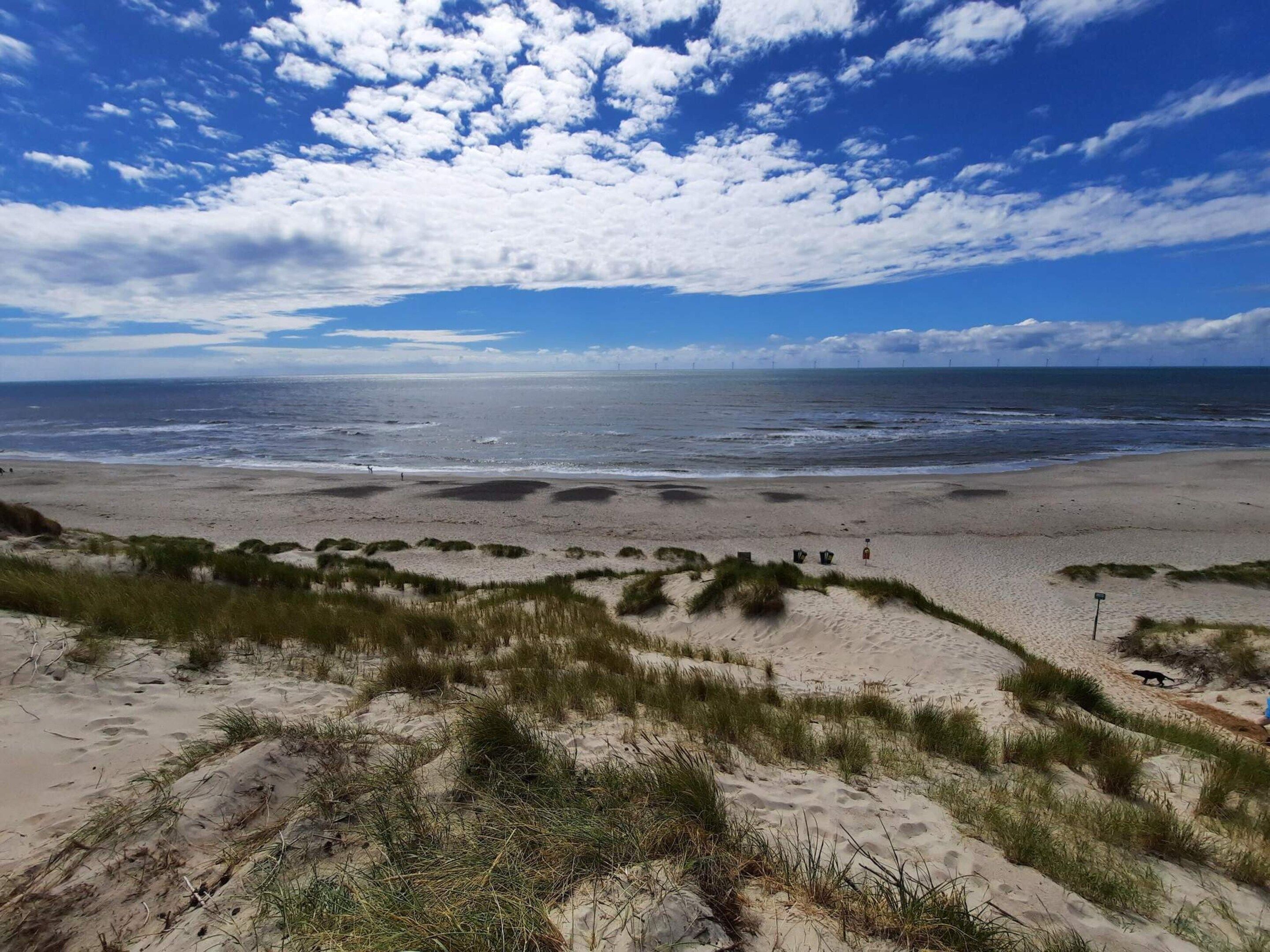 A beach with sand dunes and a clear sky.