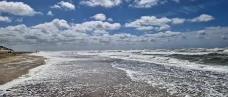 A beach with waves, a clear sky, and a distant shoreline.