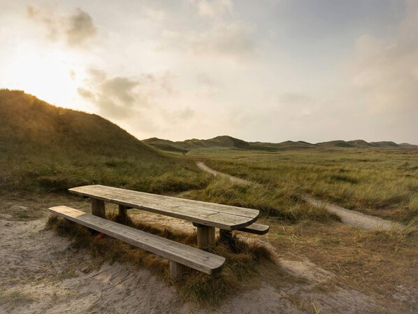 House | Outdoor dining