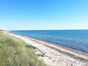 A beach with a sandy shore and grassy dunes.