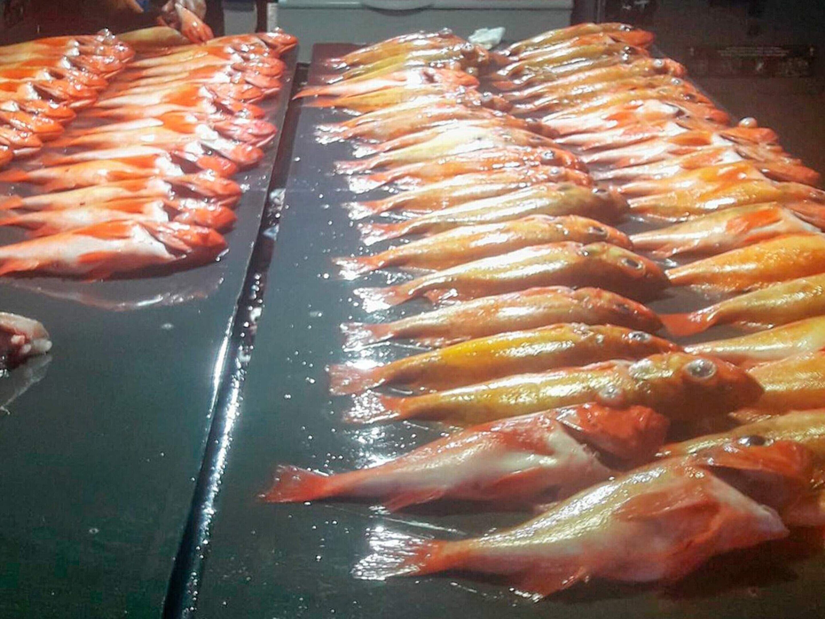 A display of cooked fish arranged in rows on a flat surface.
