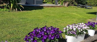 4 Person Holiday Home in Solvesborg