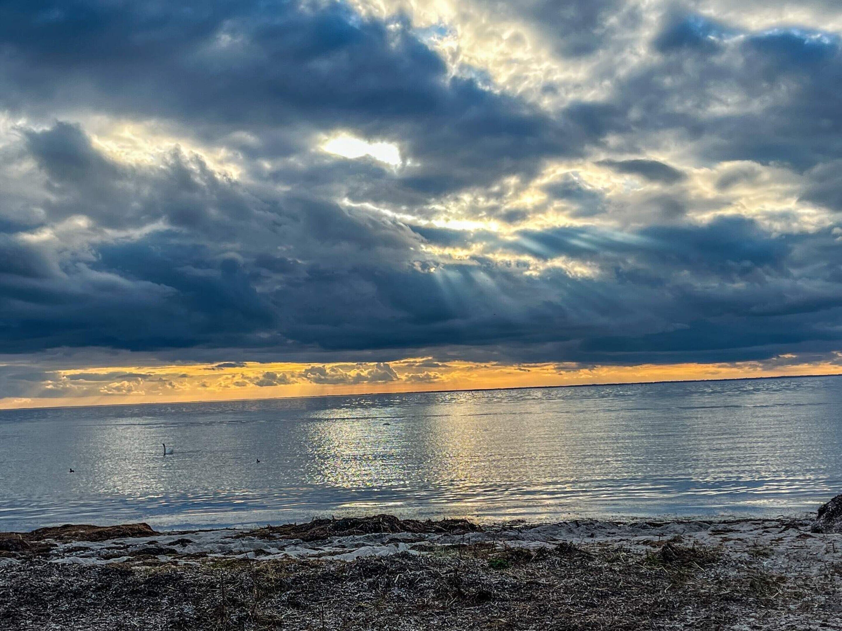 A beach with a view of the ocean and a cloudy sky.