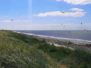 A beach with a grassy foreground and a clear sky. - 10 Person Holiday Home in Dragor (Dragor)
