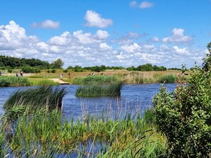 A natural landscape with a water body, greenery, and a clear sky. - 6 Person Holiday Home in Hemmet (Hemmet)