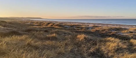 A coastal landscape with grassy dunes and a clear view of the sea.