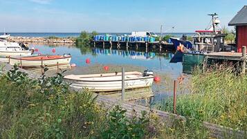 House | View from property