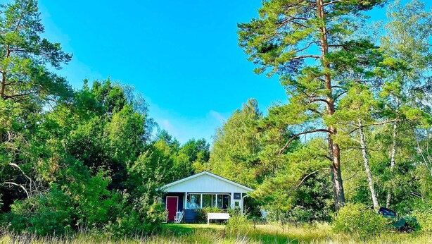 Une petite cabane avec une porte rouge, entourée de grands arbres et d’un champ verdoyant.