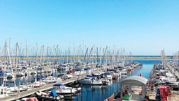 A marina with numerous boats docked, a clear sky, and a calm sea.