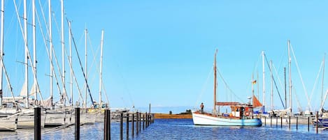 Un puerto deportivo con varios veleros amarrados a muelles de madera.