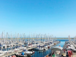 Eksteriør