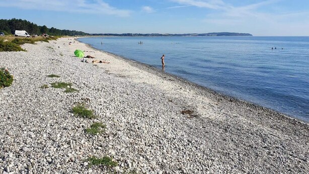 A pebbled beach with a clear sky, a few people, and a distant shoreline. - 4 Person Holiday Home in Ebeltoft (Ebeltoft)