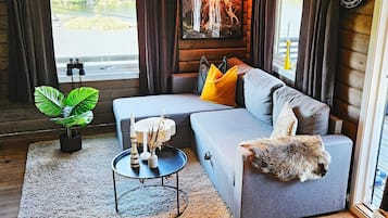 House | Living area