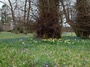 Hus | Overnatningsstedets område