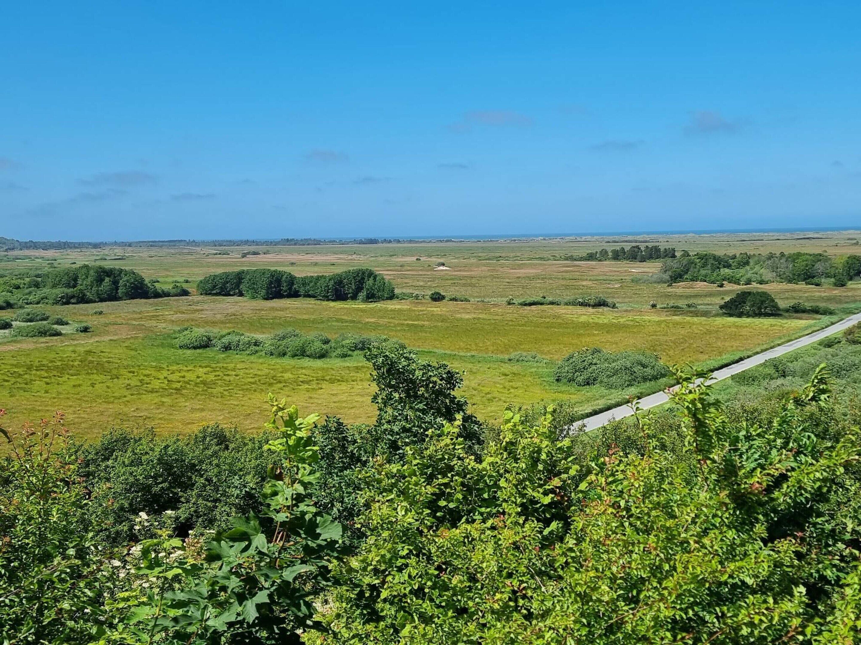 Un paysage rural avec une route qui traverse des champs et des arbres dispersés.