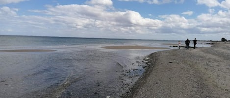 A beach with a pebbly shore and a calm sea.