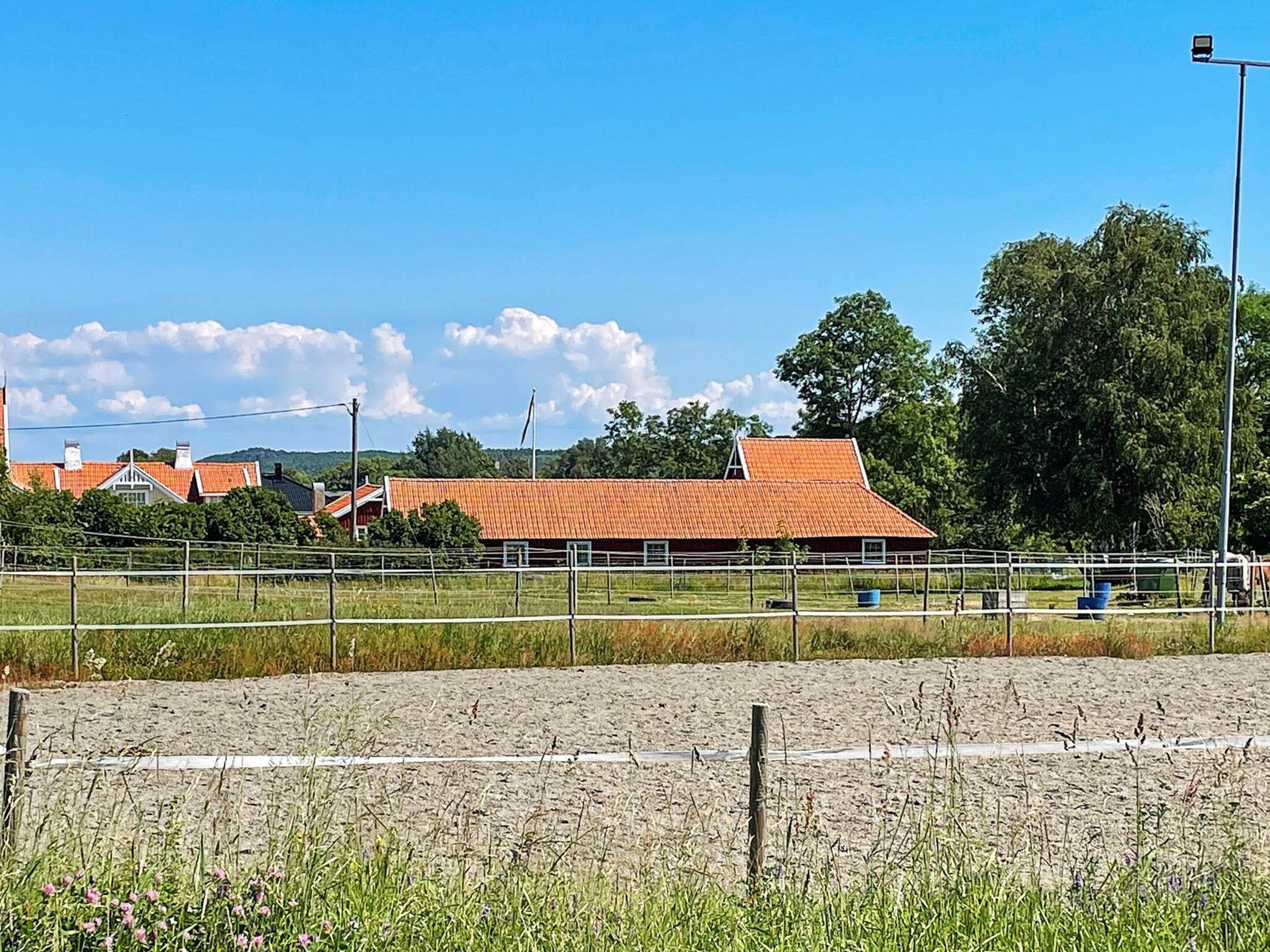 A rural landscape with a fenced field, a red-roofed building, and a clear blue sky.