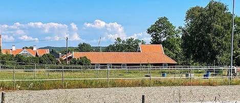 Ländliche Landschaft mit einem eingezäunten Feld, einem Gebäude mit rotem Dach und einem strahlend blauen Himmel.