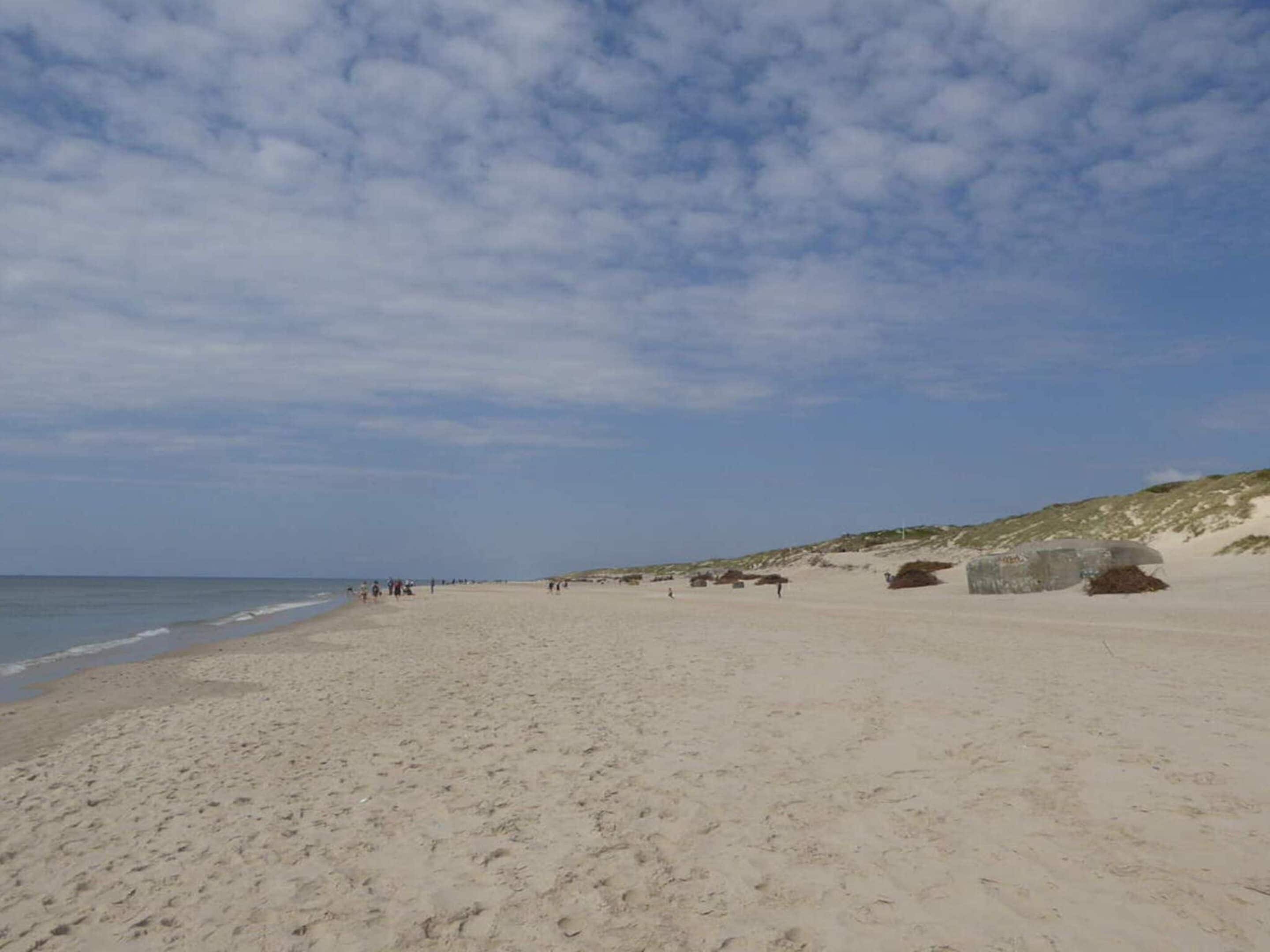 Une vaste plage de sable, parsemée d’empreintes, un ciel dégagé et des dunes lointaines.