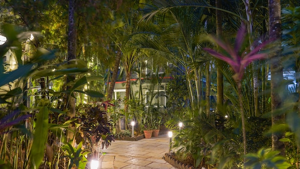 A stone pathway leading to a building surrounded by lush tropical vegetation and illuminated by small lights. - Magnum Resorts Candolim (Candolim)