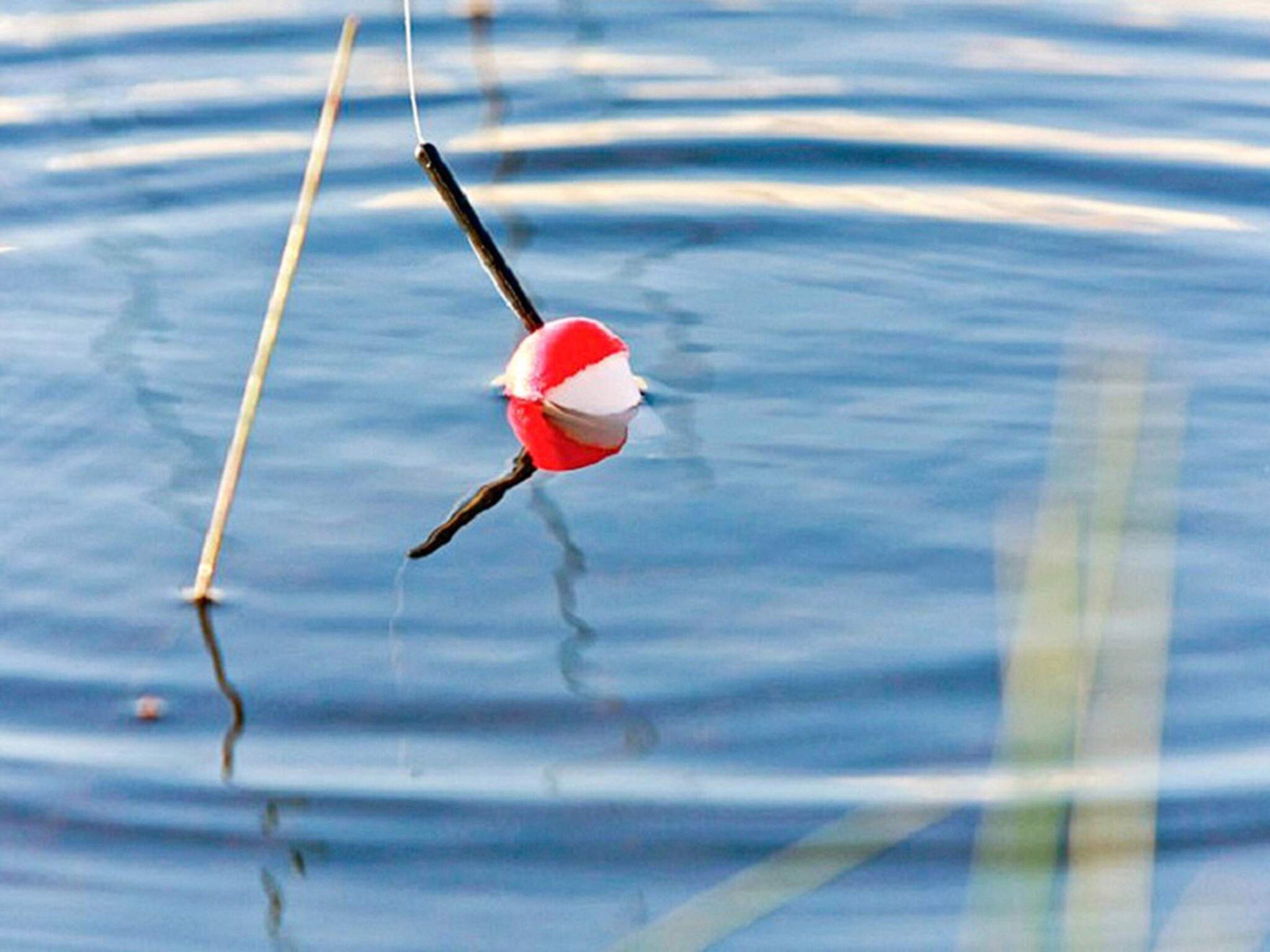 Una boya flotando sobre el agua, con una superficie reflectante.