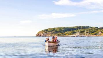A boat with passengers on a calm sea, a coastline with greenery and buildings in the background.