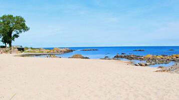 A sandy beach with a picnic table, a tree, and rocky outcrops in the water.
