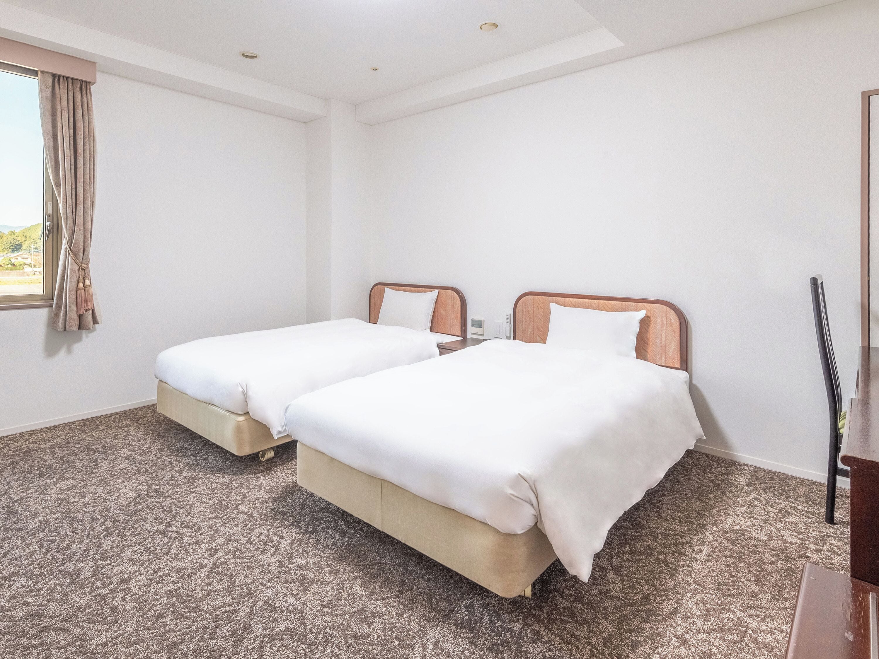 Superior Twin Room | Down comforters, free WiFi