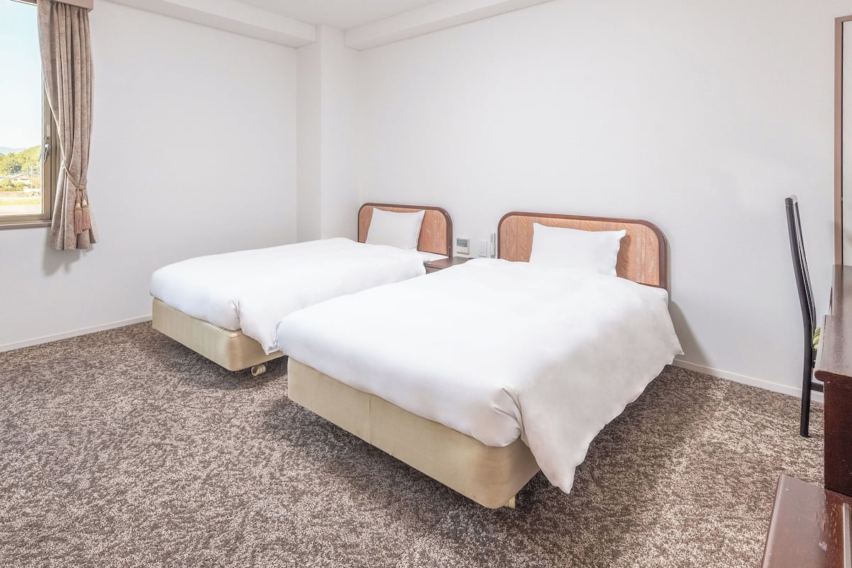 Superior Twin Room | Down comforters, free WiFi