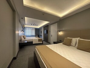 A modern hotel room with a large bed, a seating area, and a TV. - Panula Park Hotel (Izmir)