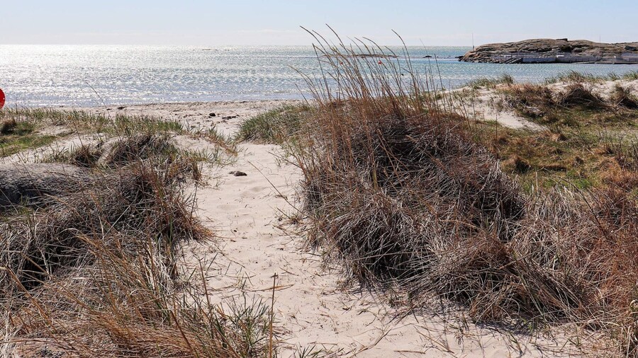 4 Star Holiday Home in Varberg