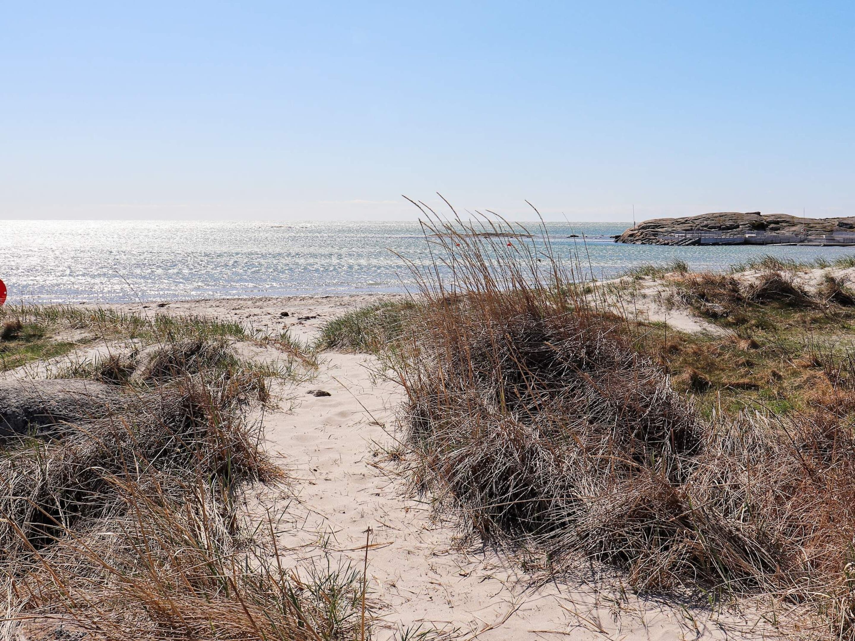 A sandy beach path leading to the sea with sparse vegetation.