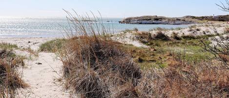 A sandy beach path leading to the sea with sparse vegetation.