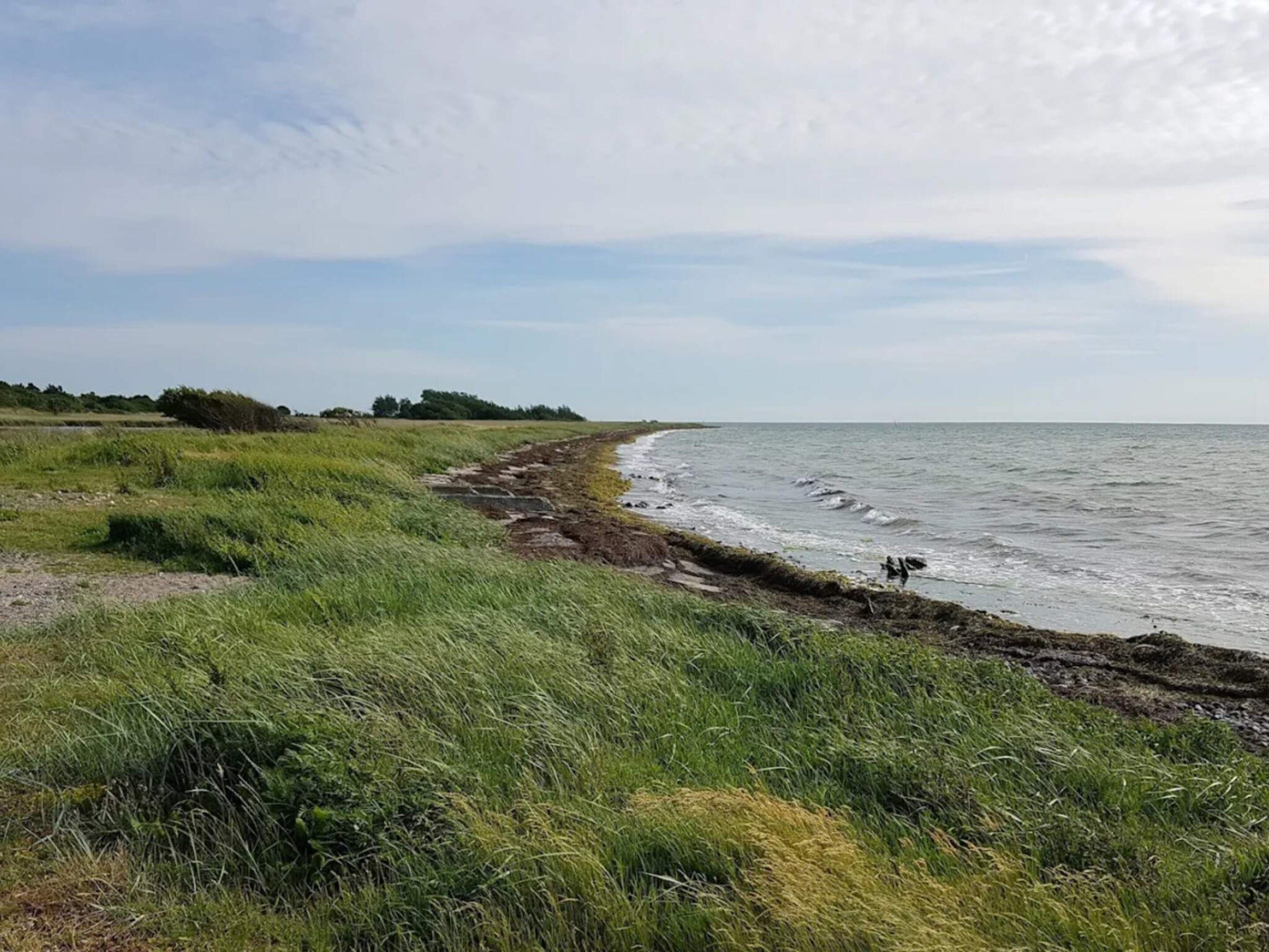 Un paysage côtier avec une rive herbeuse et un ciel dégagé.