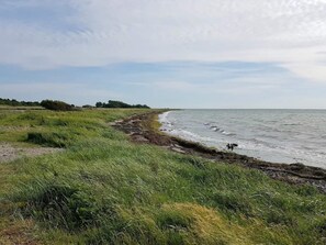 A coastal landscape with a grassy shoreline and a clear sky. - 4 Person Holiday Home in Gedser (Gedser)