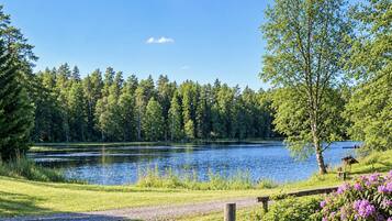 A lakeside view with a wooden deck, a grassy area, and a forest in the background.