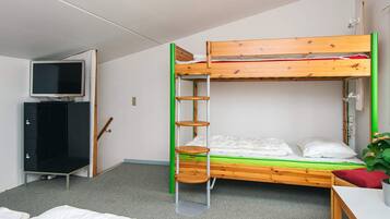 Una cama nido con escalera, un televisor sobre un mueble bajo, y un escritorio con una planta.