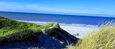 A beach with a grassy dune and a sandy foreground.