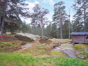 Un área boscosa con una cabaña de madera, un sendero de tierra y un columpio.