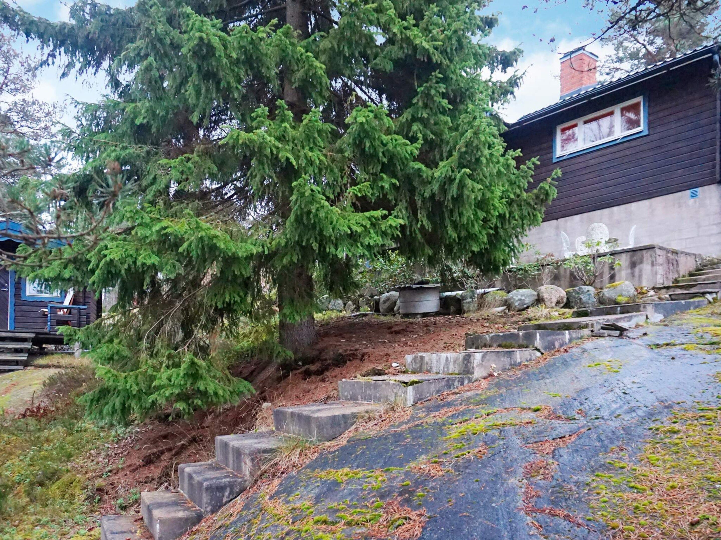 A residential area with a large evergreen tree, a concrete staircase, and a house with a dark exterior.