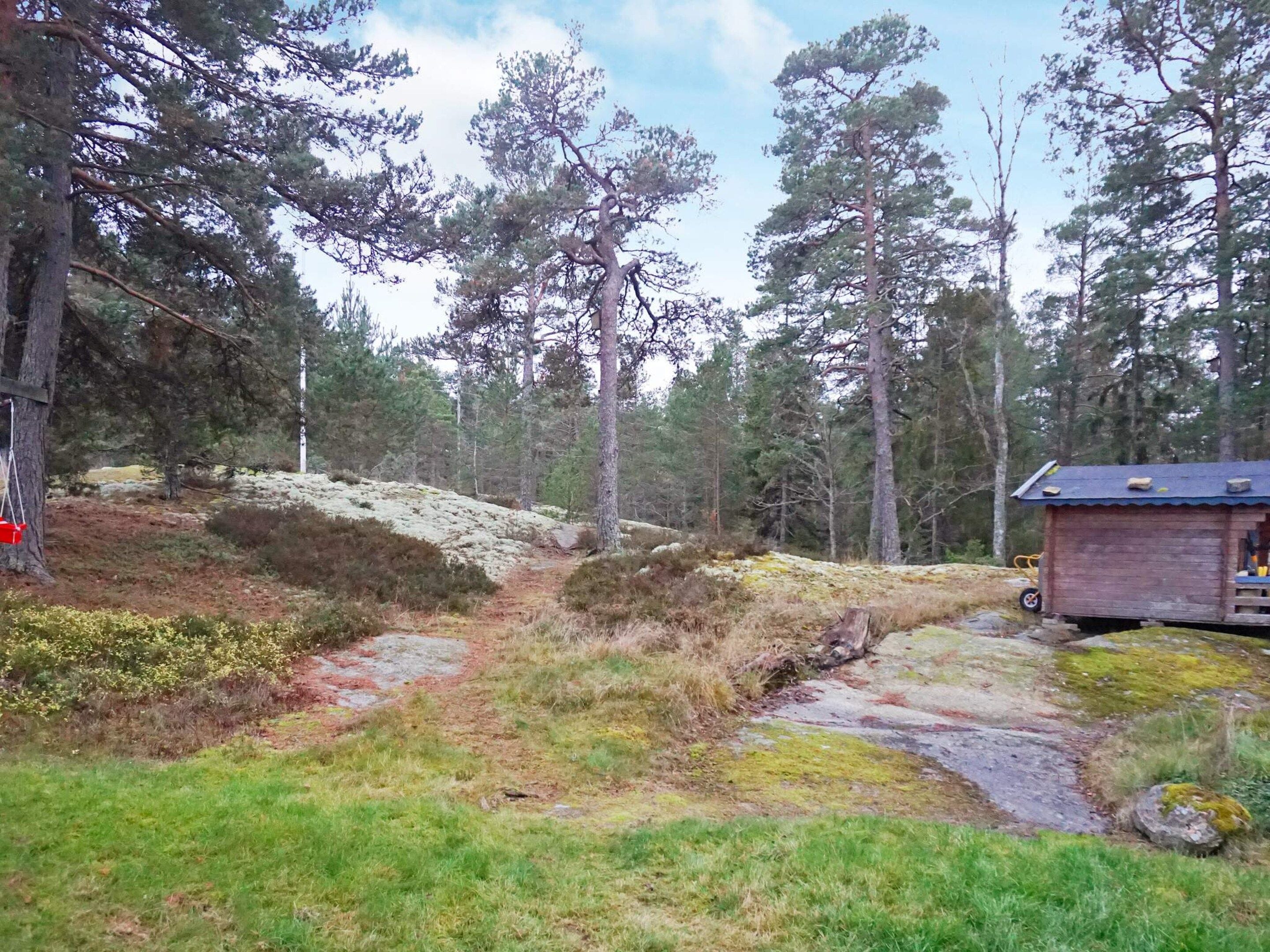 Une cabane située dans une zone boisée, accessible par un sentier de terre.