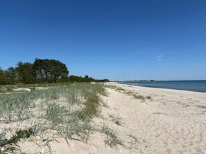 Ein Sandstrand mit Dünen und vereinzelter Vegetation.