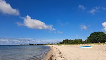 A beach with a clear sky, a sandy shore, and a blue and white surfboard on the sand.
