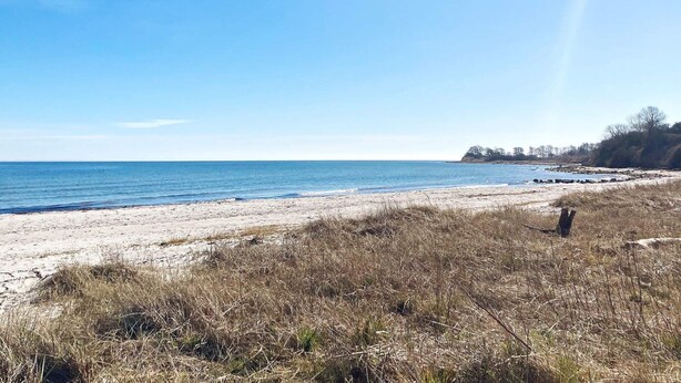 A beach with a clear sky and calm sea. - 6 Person Holiday Home in Augustenborg (Augustenborg)