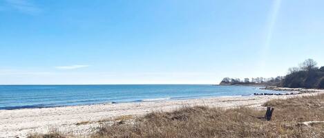 House | Beach | Beach nearby