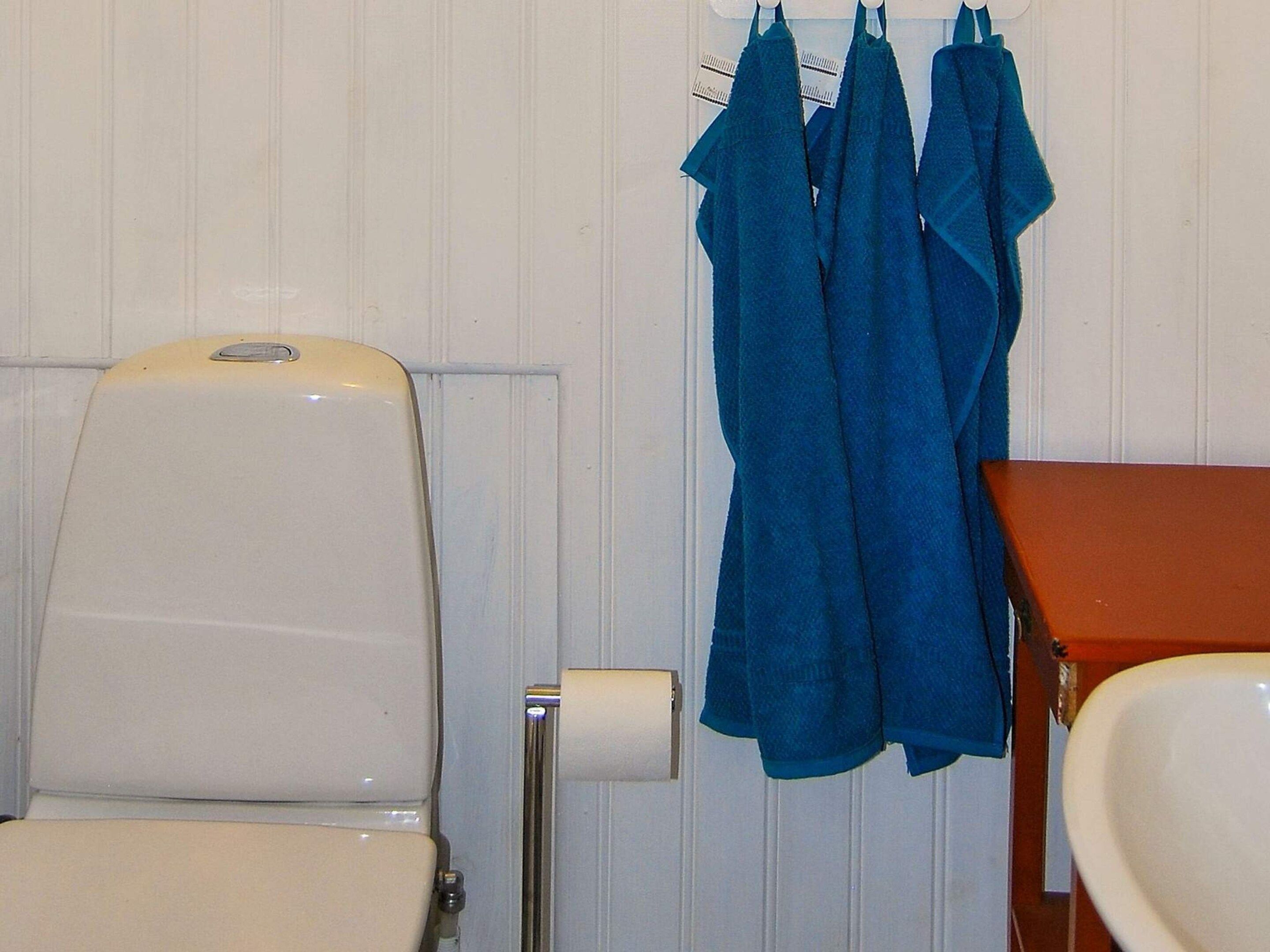 A bathroom with a toilet, a roll of toilet paper, and a sink.