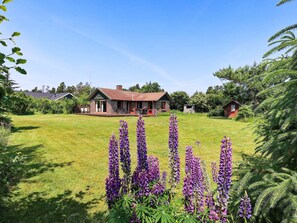 A house with a red roof, a porch, and a lawn with purple flowers. - 4 Person Holiday Home in Blavand (Blavand)