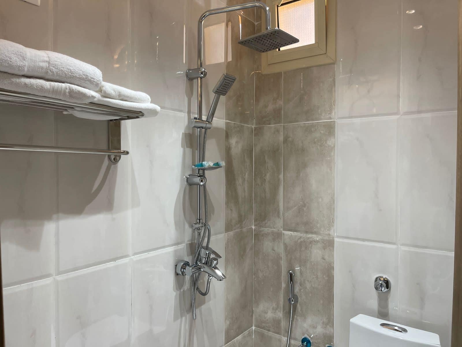 Un bagno moderno con doccia, WC e porta asciugamani.