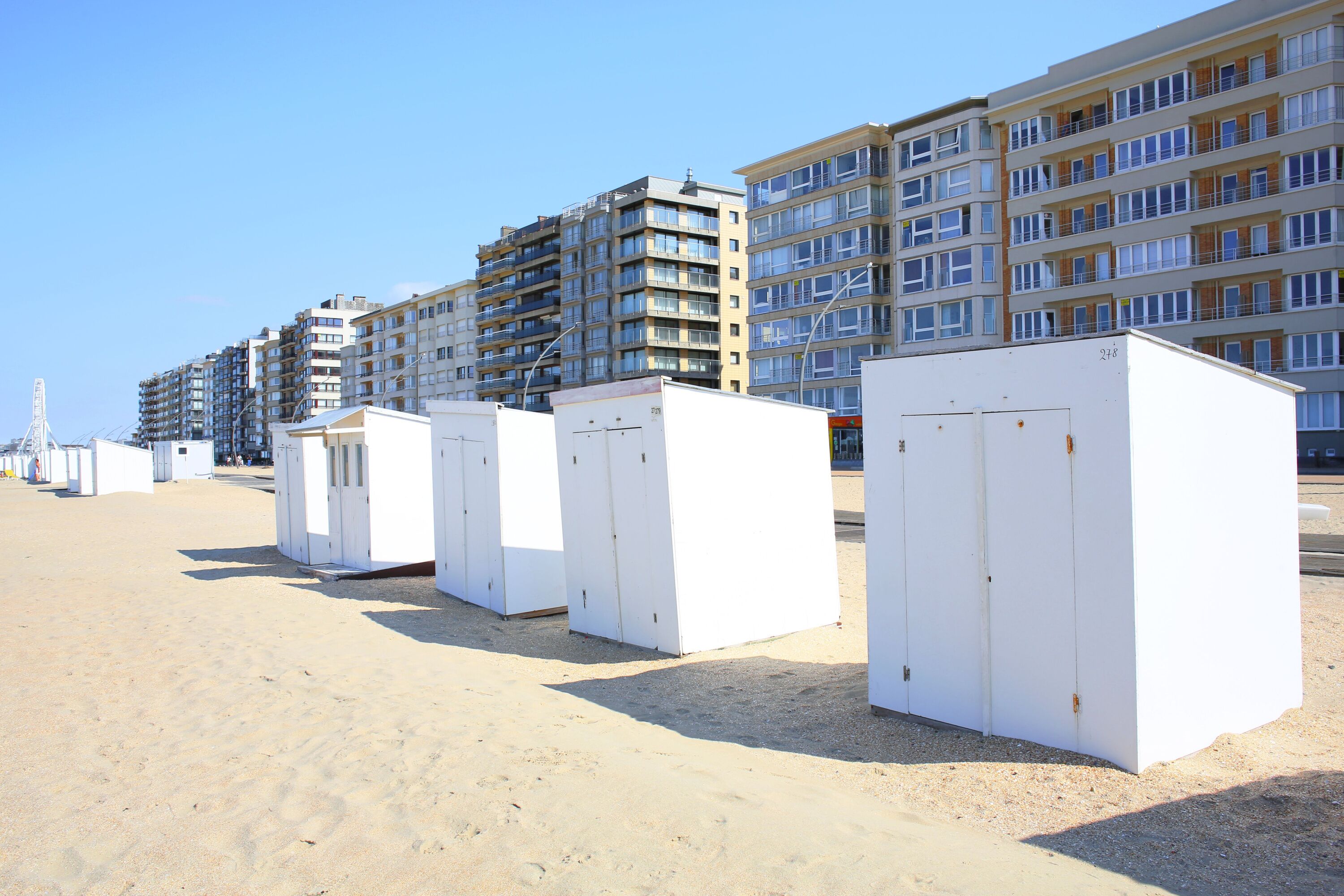 A row of white portable restrooms on a sandy beach with multi-story buildings in the background.