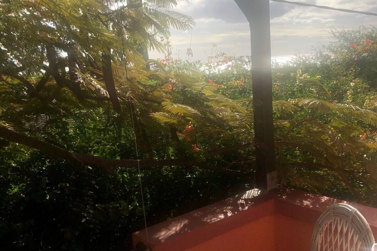 A covered outdoor seating area with a table and a chair, surrounded by lush greenery and a view of the sky.